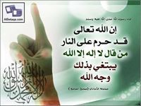 محمدين محمد حامد