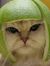 Nok Meow