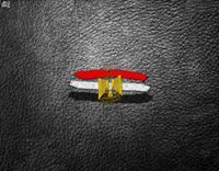 Ahmed Tarek