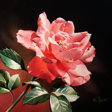 Nicholas Deng