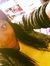 Lilmel ...