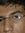 Ajay Ga...