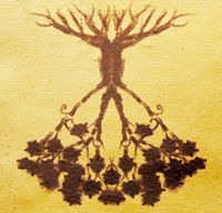 Mohammad Mohammadion