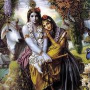 Shary Krishna