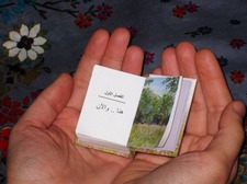 Nermin Awiek