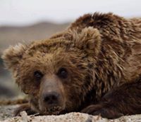 Байчууд Г.Цогт-Эрдэнэ