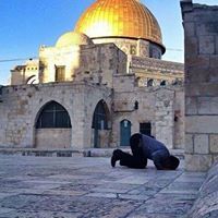 Abd-elhamed Basyouni