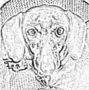 Shirley
