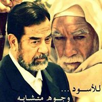 Ahmad Aljamal