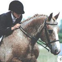 Laurie Rabian harnett