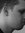 Alexand...