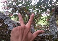 Malcon Do prado costa