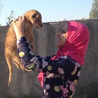 Menna Osama