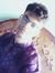 Sk Abir