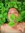 Noah Obaob (noahbles) | 12 comments
