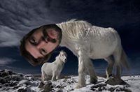 Aaron Walther