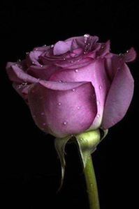 Debra Thomas