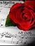 Anood ʚïɞ