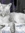 Mooncat | 3 comments