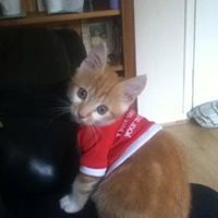 Jools Harrison-newton