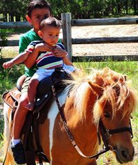 Jacqueline Benavides