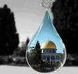 Tareq