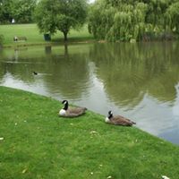 نسائم الإيمان