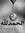 الحسين ...