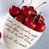 روضة حسن