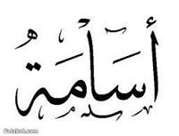 اسامه معله