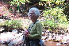 Gail Elkins
