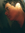 Cristian Cdiaz (cristiancdiaz) | 4 comments