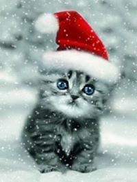 Kavindya Amarasinghe