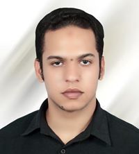 احمد المصرى