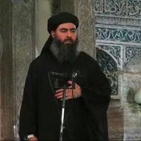 محمود محمد