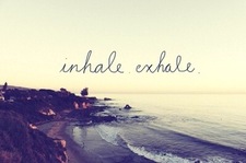 a l e x ✨