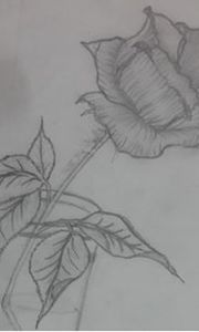 إسلام رمضان