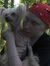 Marjo R...