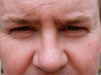 Bryan D. Stein