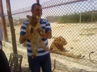 Ahmed Saber