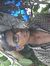 Sandeep...