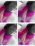 Raven B...