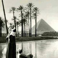 حسام الشهاوي