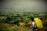 Rachman Darmawan