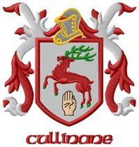 Michael Cullinane