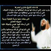 محمود السيد