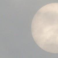 ধূষর সময়