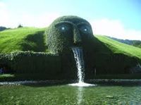 النبع الأخضر