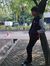 Lingga ...
