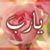 Manal Brigdar